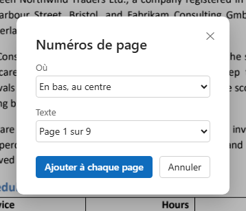 La fenêtre Numéros de page : où et quel texte