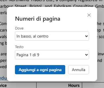 La finestra Numeri di pagina: dove e quale testo